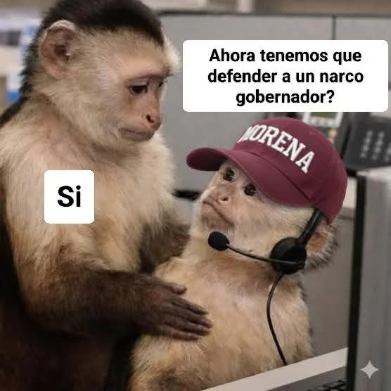 vanni_v's tweet photo. @eltemagv Solo leo lloroqueos tuyos jajajaja 🤣 https://t.co/FVtMW8pHsu