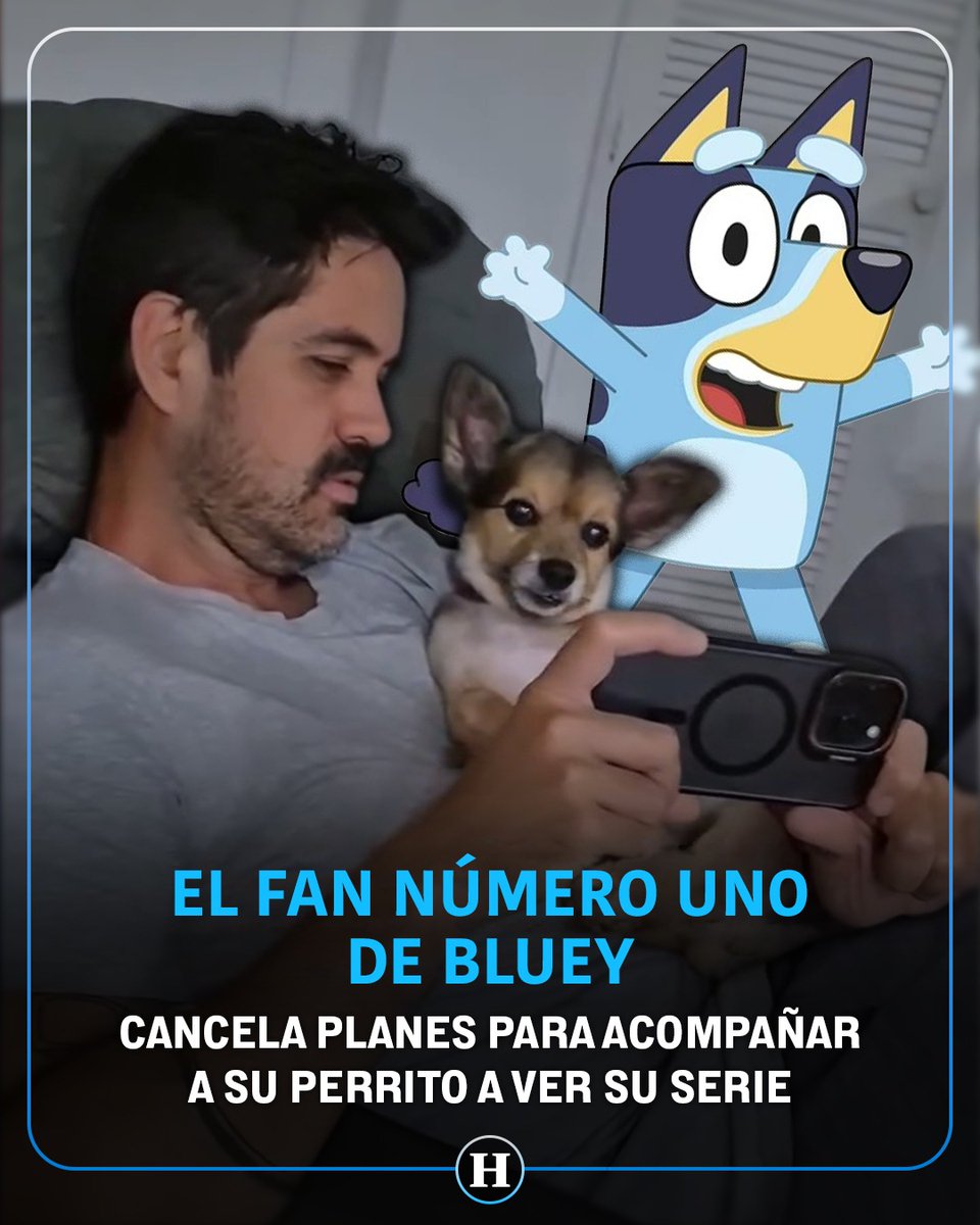 heraldodemexico's tweet image. #VIDEO |  Lo que empezó por “curiosidad” ahora es una imperdible noche de series 🐕🍿

El dueño de un adorable perrito decidió cancelar importantes compromisos para asegurar que su lomito no se pierda un solo episodio de su serie animada favorita: Bluey. 📺