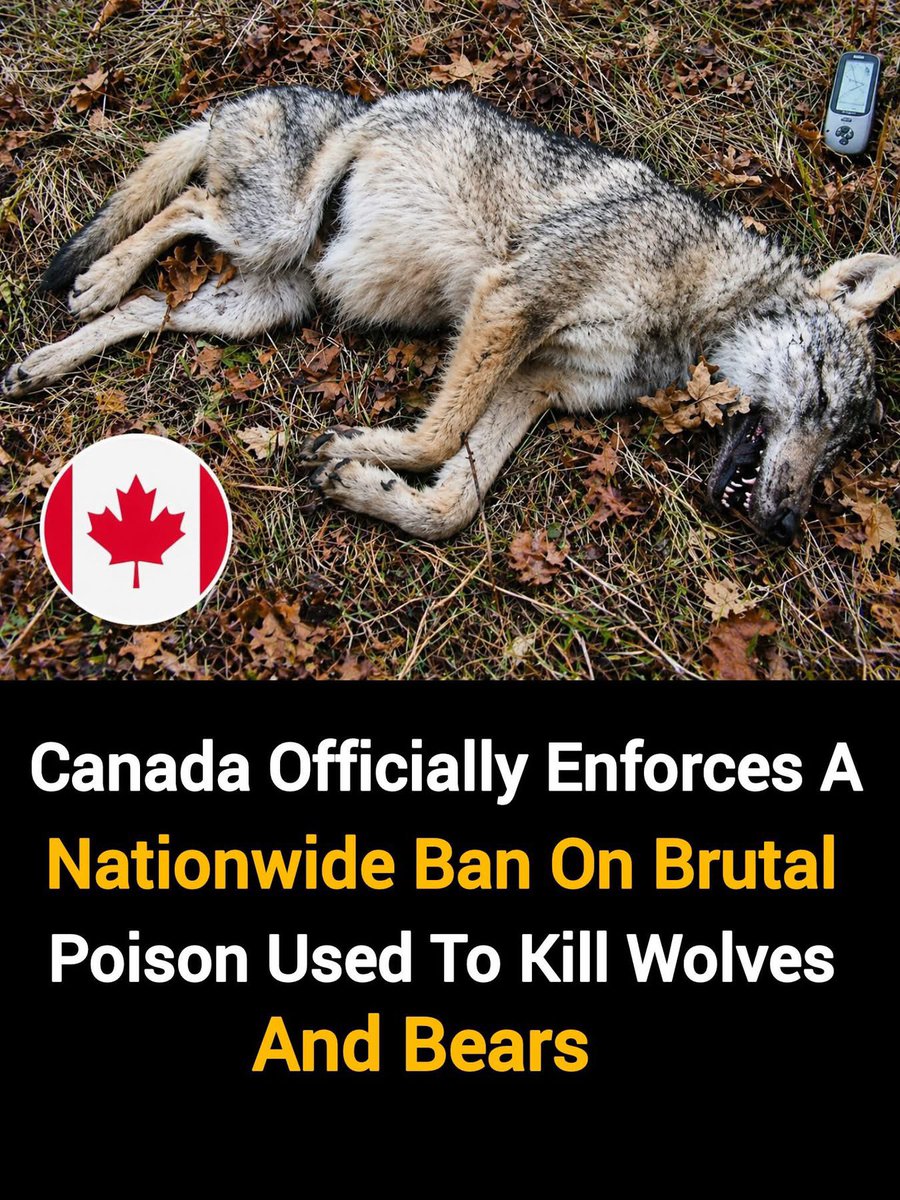 PROTECT ALL WILDLIFE tweet media