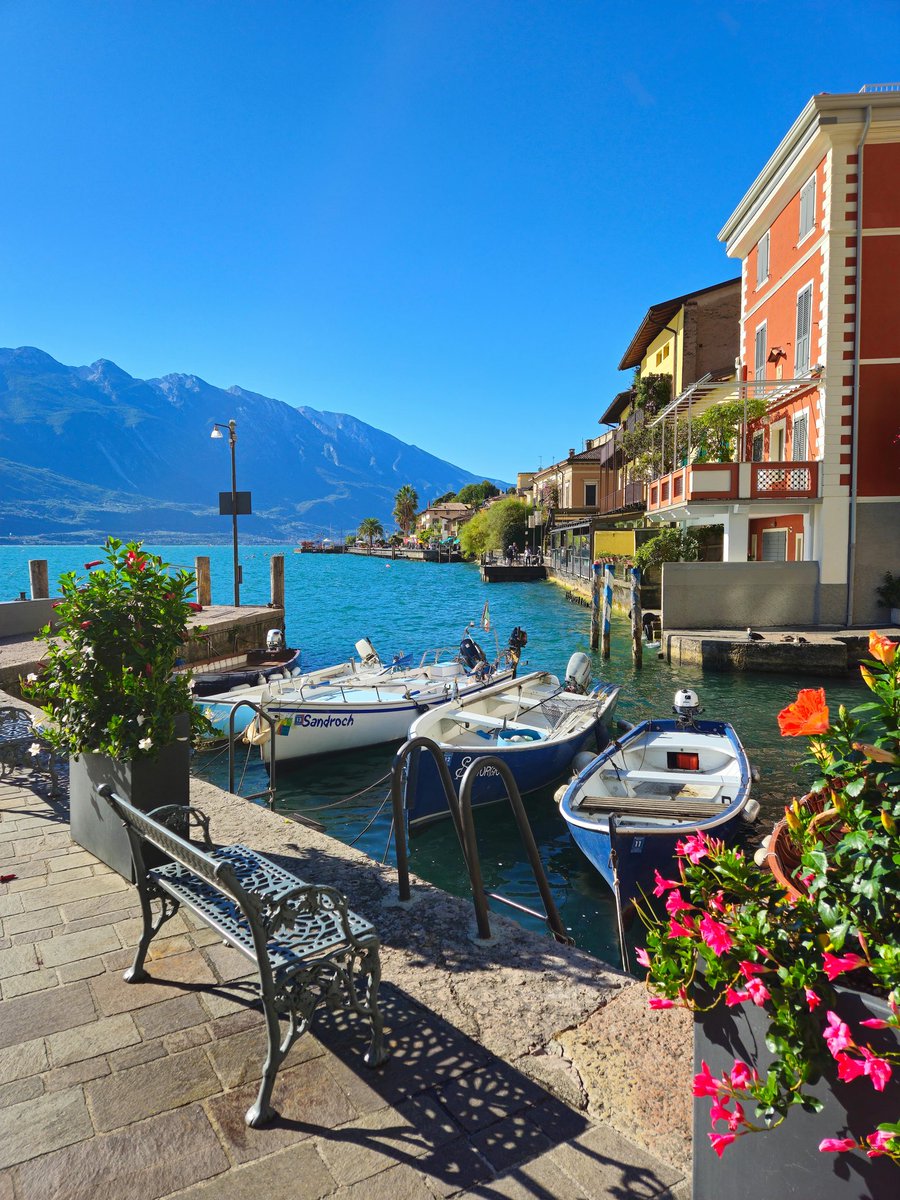 YourOwnItaly's tweet image. For a scenic and relaxing trip, Limone sul Garda is a great spot! This #lakeside gem is known for its breathtaking scenery, with its #lemon groves, cliffs and gorgeous #views of Lake #Garda! 🍋🇮🇹

#limonesulgarda #lombardy #visititaly #lake
