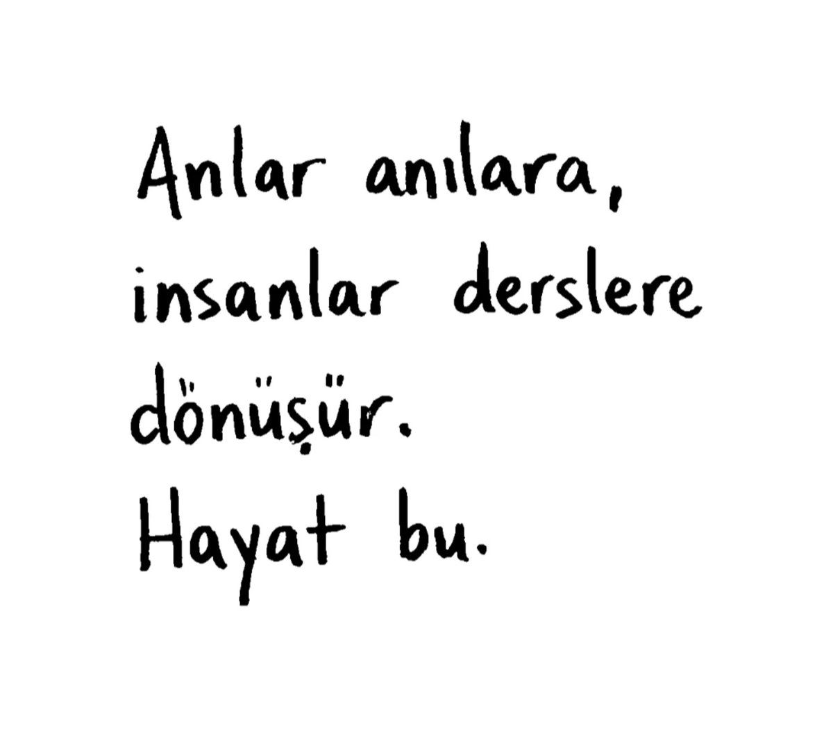 Mehmet tweet media