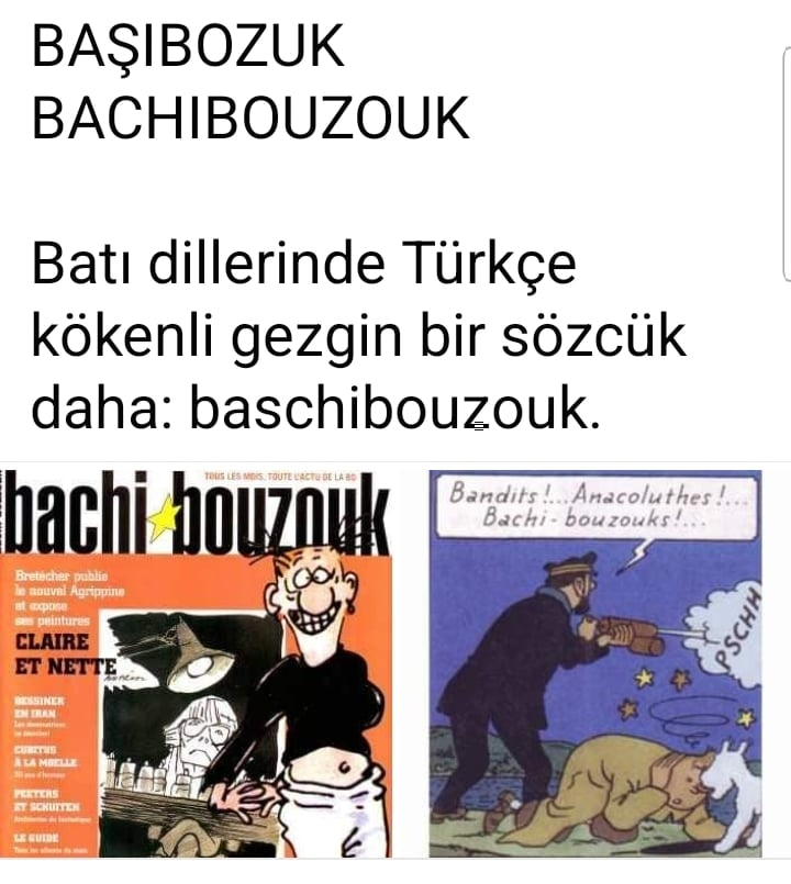 Süer EKER tweet media