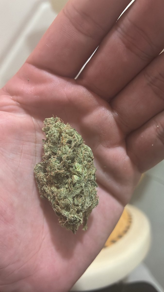 Dr. Sativa - Cannabis Medicinal tweet media