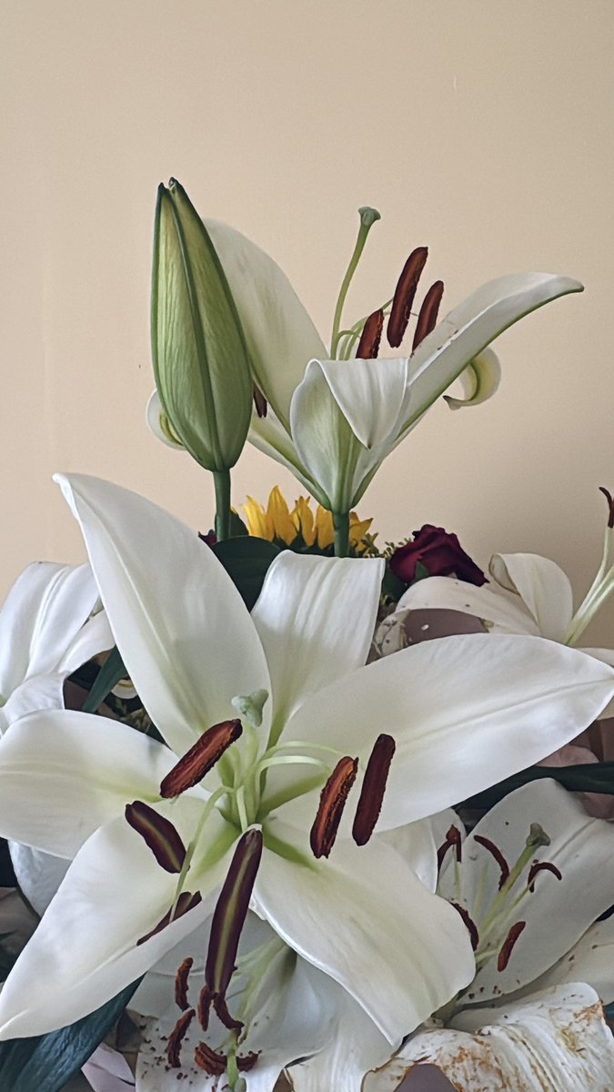 amo tener flores en mi depa