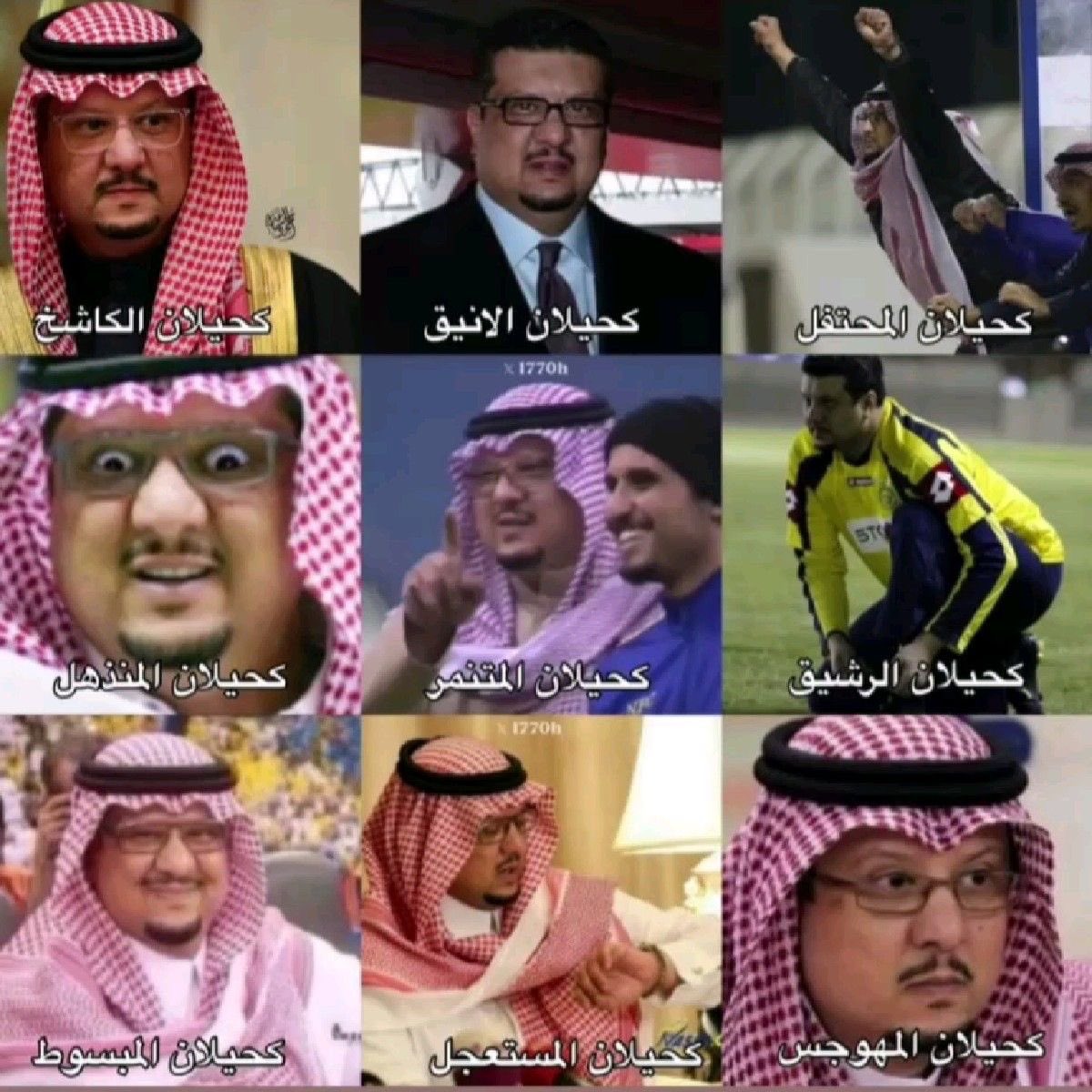 AL3jmi tweet media