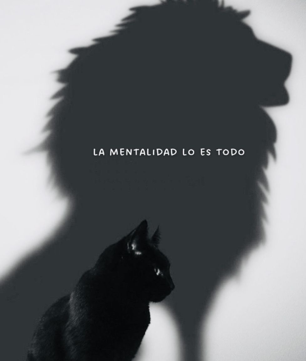 Sabelotodo (@eligeespecial) on Twitter photo 