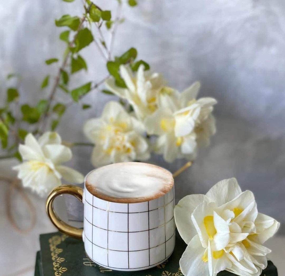 روز روز ⁦⁦⁦ ☕‏❉্᭄͜͡↫__ 🌼 ོ tweet media