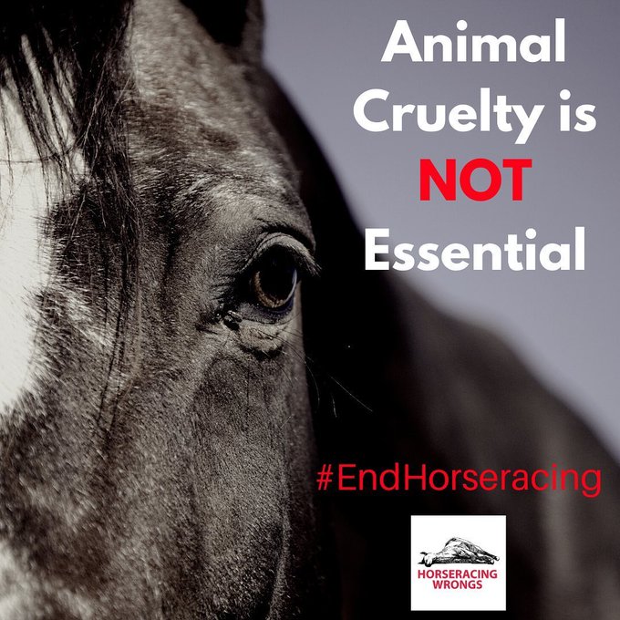 racingwrongs's tweet photo. Horses Killed on or at U.S Tracks in 2021 
R: Racing Death 
T: Training Death 
S: Stall Death 
You’re not “just watching a race.” You’re watching #AnimalAbuse paid for by taxpayers. #KentuckyDerby #HorseracingKills #TripleCrown #KyDerby #EndHorseracing
https://t.co/zqPUNGbSez https://t.co/YLFOO20m1b