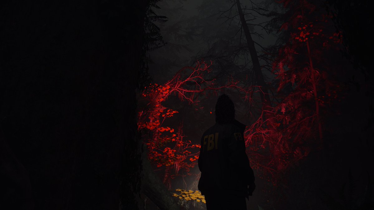 hexen_wind's tweet photo. #AlanWake2 #VirtualPhotography #AW2Photography #RMDVP https://t.co/FrvZufLPWZ