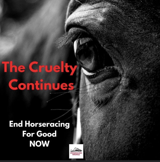 racingwrongs's tweet photo. Horses Killed on or at U.S. Tracks in 2022 
R: Racing Death 
T: Training Death 
S: Stall Death 
Don’t bet on #AnimalCruelty. Take action for compassion. Don’t support #horseracing #HorseracingKills #KentuckyDerby #TripleCrown #KYDerby #EndHorseracing 
https://t.co/AIjXTSypdA https://t.co/ZcnHbqexdv