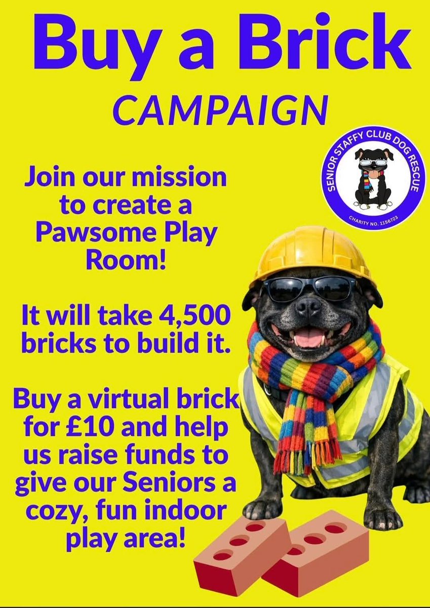 Senior Staffy Club Dog Rescue tweet media