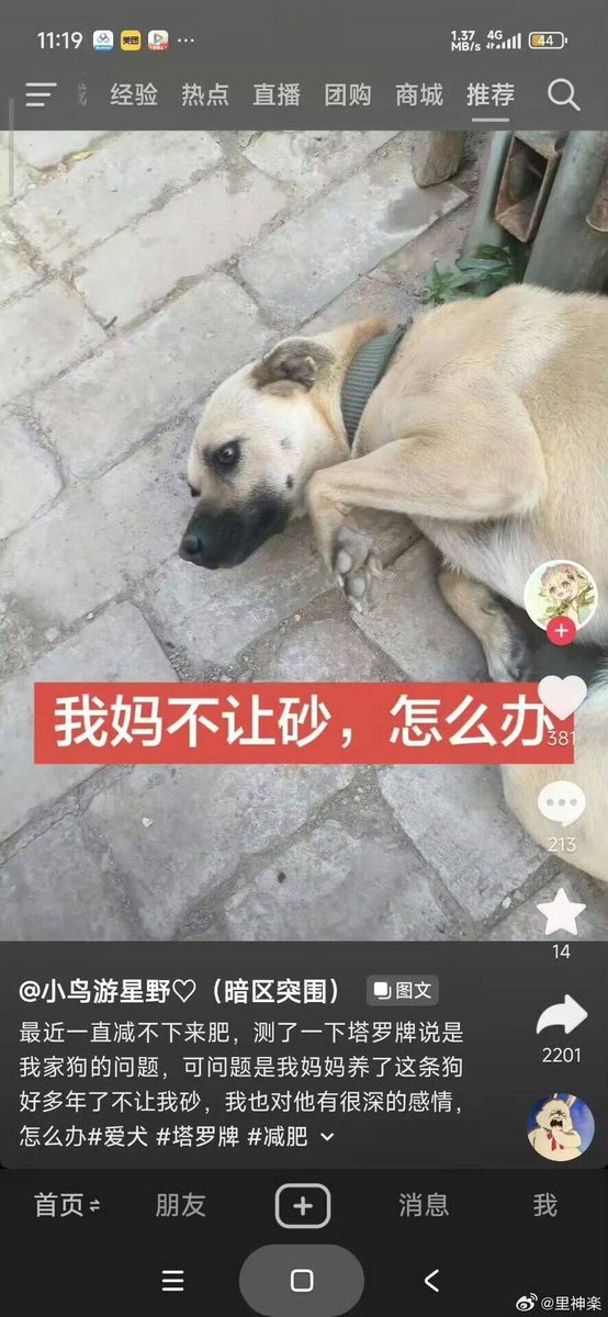 颜克权 tweet media