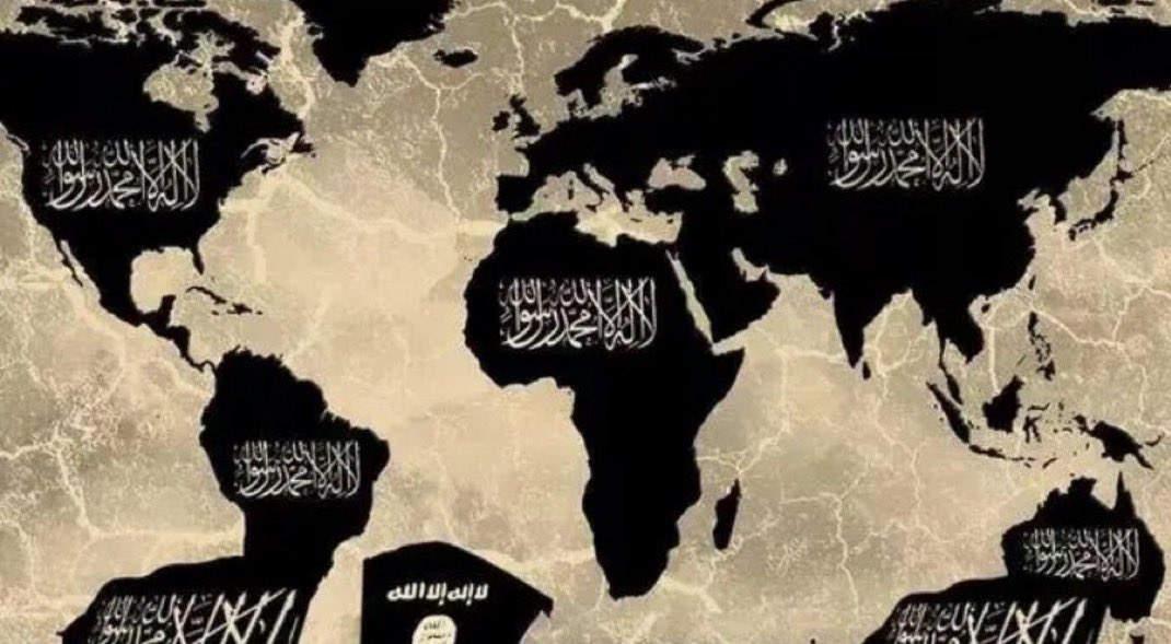 Dr. Maalouf ‏ tweet media