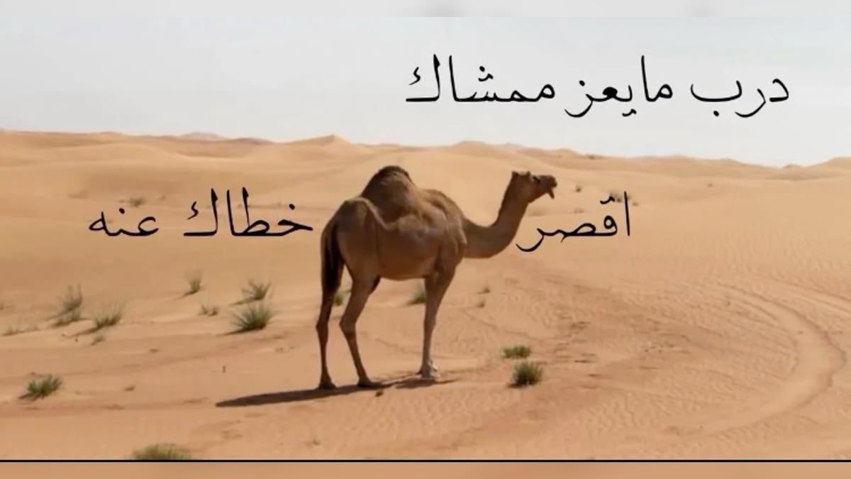 S tweet media