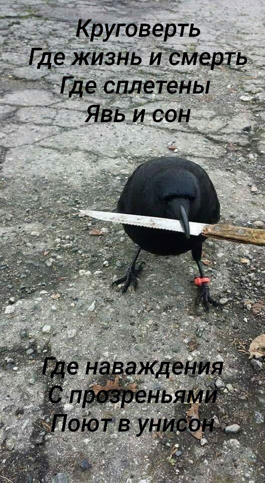 Max tweet media