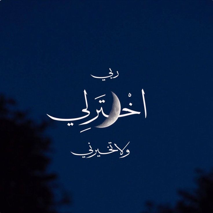 مُطمئِنةَ.! tweet media