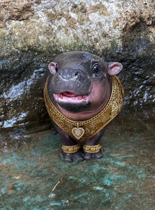 moodang_eth's tweet photo. You’ve been blessed with a Golden MooDang 🩷

#MooDang $moodang https://t.co/tzN8qVdPBq