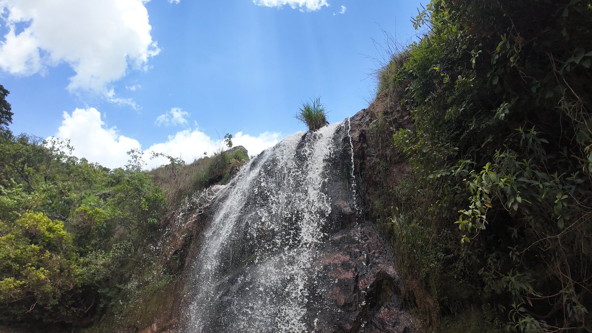 sammyranoo's tweet image. "Fresh air is as good for the mind as for the body. Nature always seems trying to talk to us as if she had some great secret to tell. And so she has."

 –John Lubbock

#naturelovers #naturephotography #mambillaplateau #travelwithmcashrafandfriends