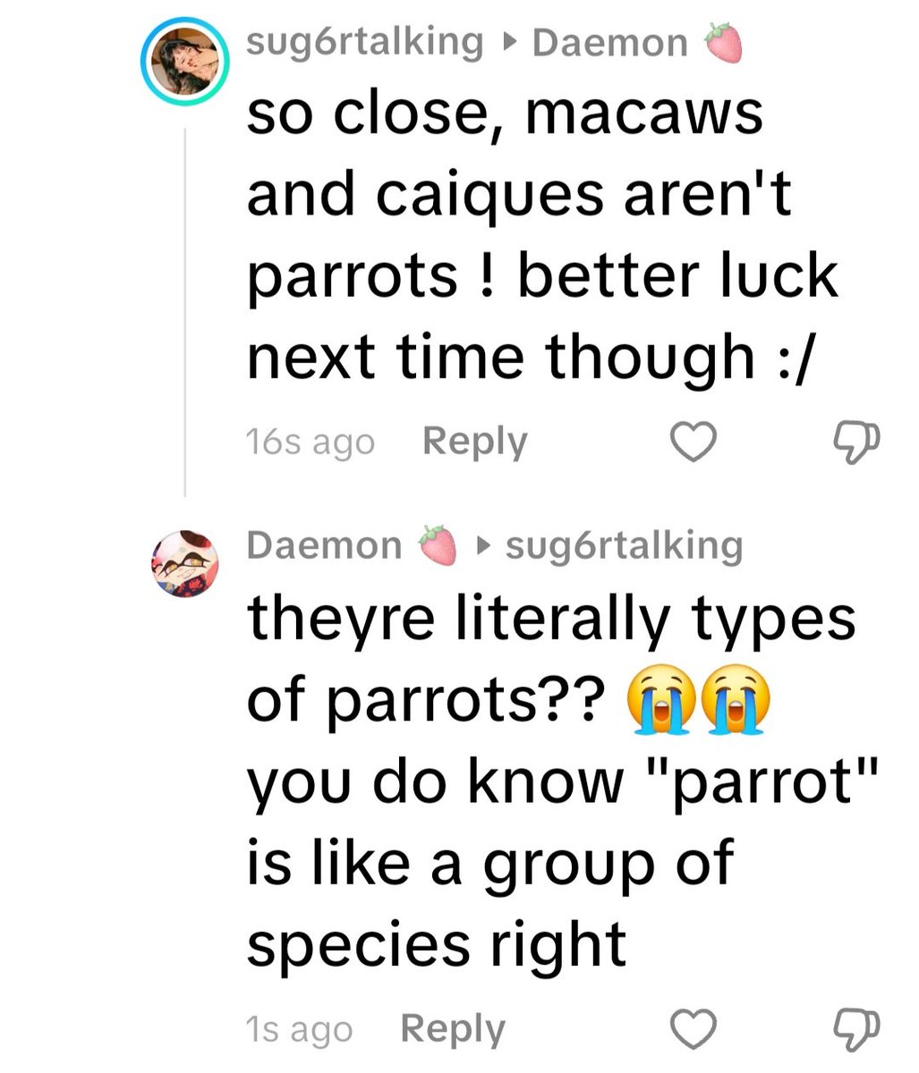 ᶻz ◜ ℂ𝕠𝕝𝕒 ◞ 𖦹 | COMMS OPEN tweet media