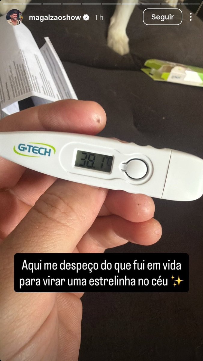 Pérolas do Broxada Sinistra tweet media