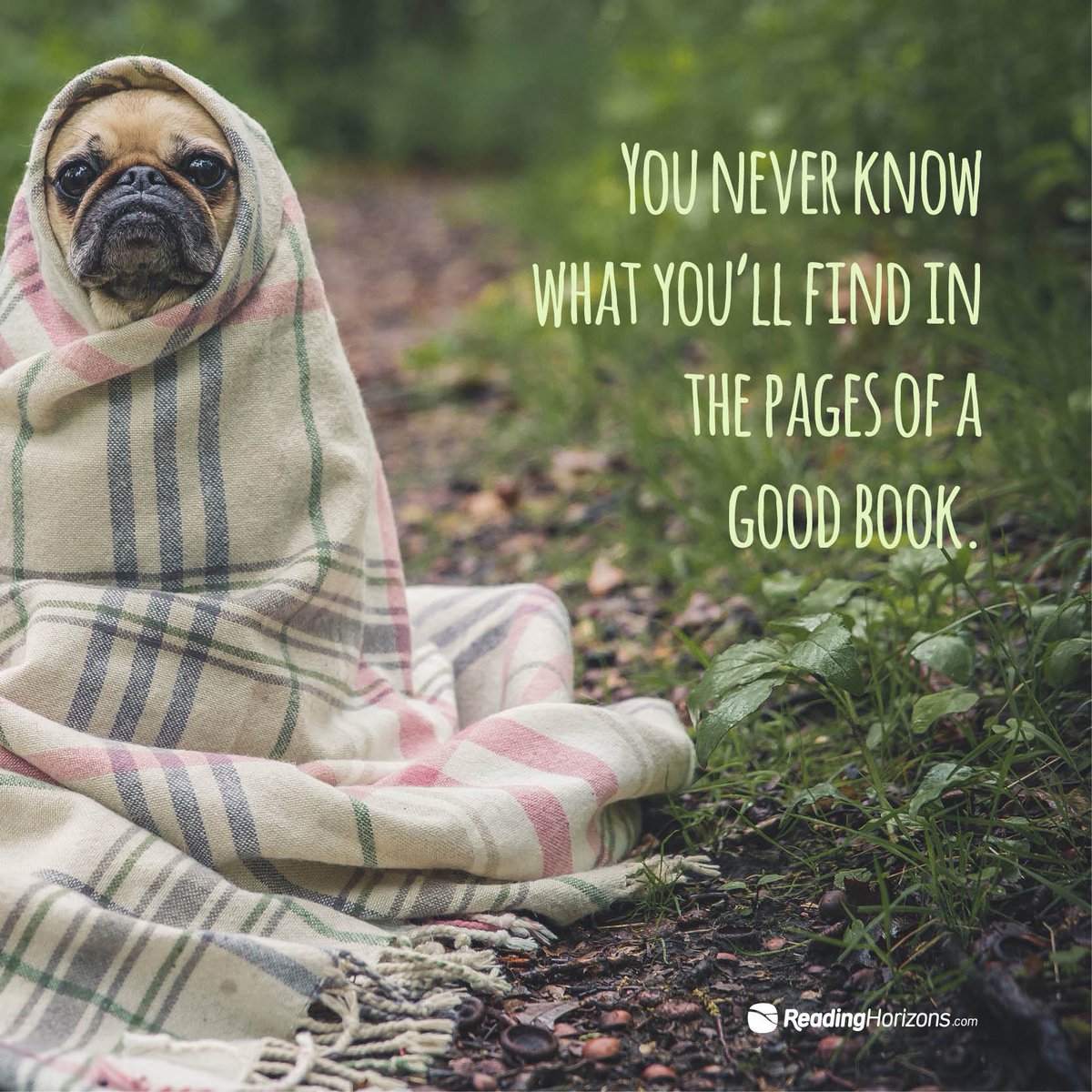 TraderJohn101's tweet image. #reading #books