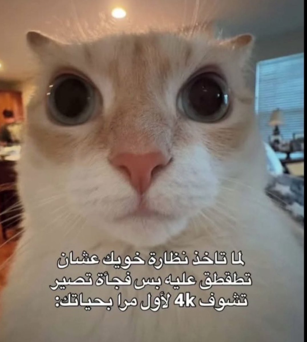 هاني tweet media