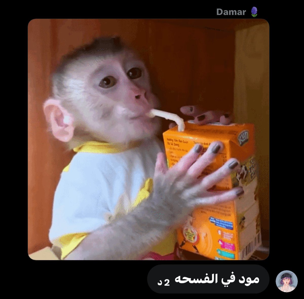 Roro | الكوين رورو tweet media