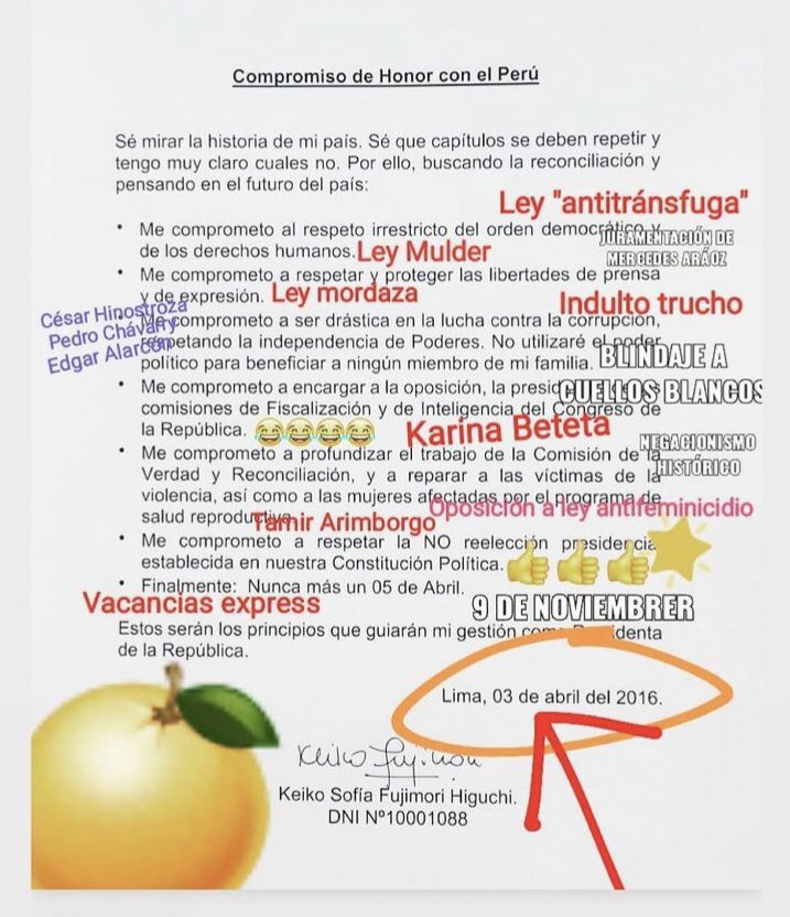 Carolin tweet media