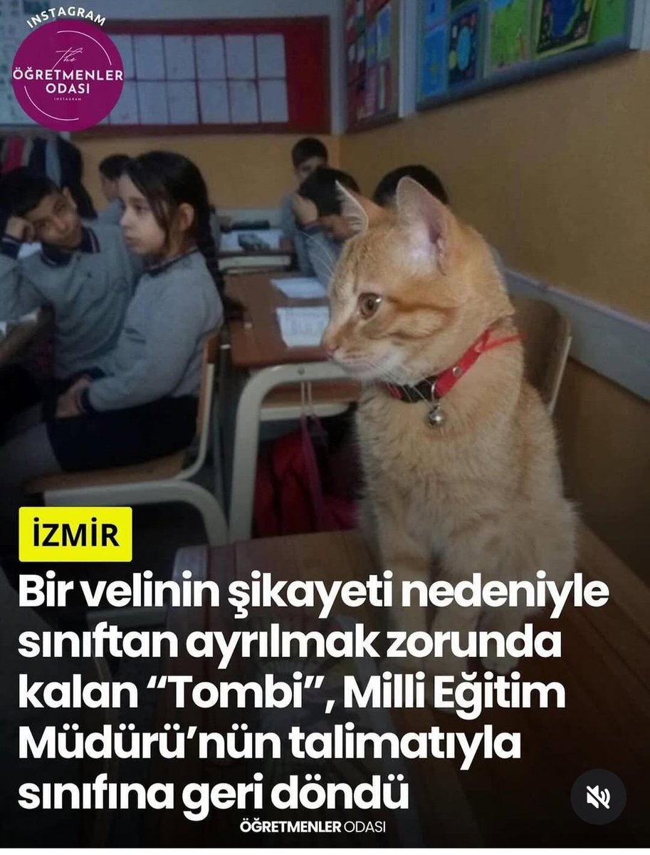 Kyra 🇹🇷 tweet media