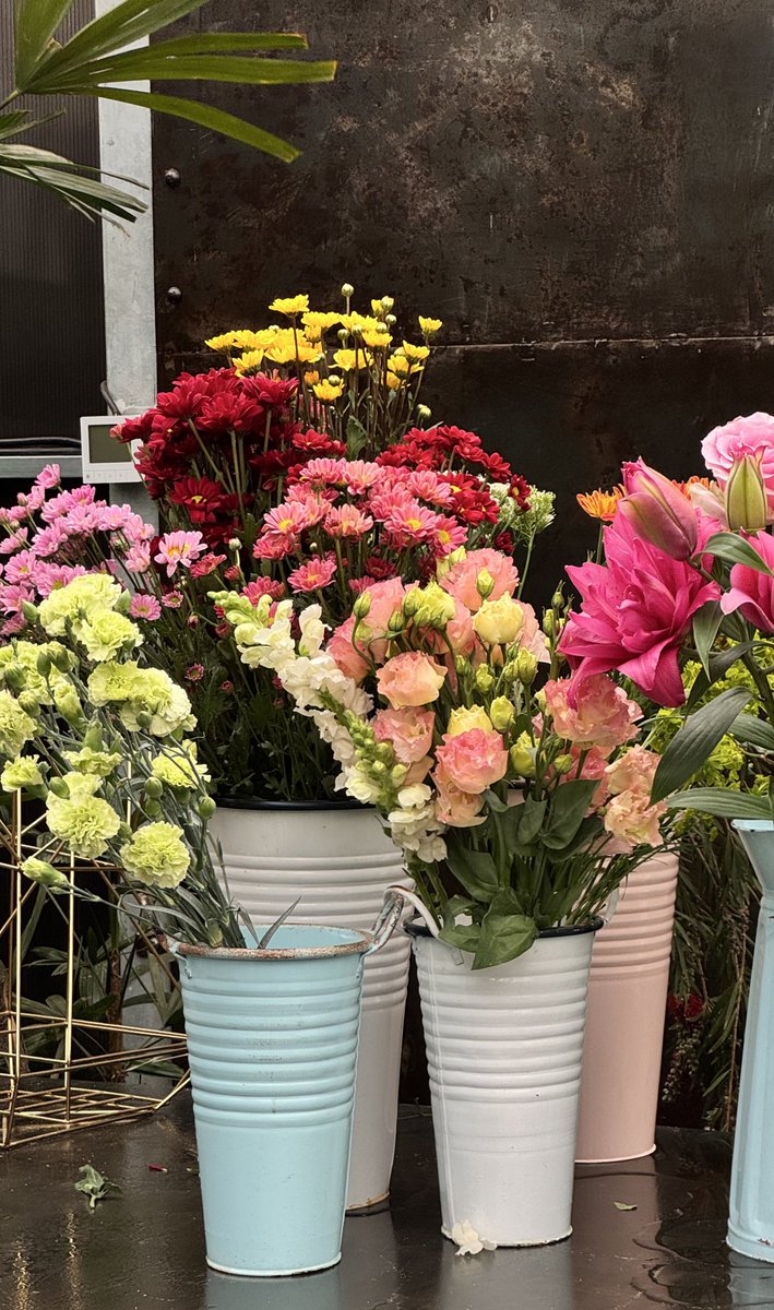 Hastiflowers's tweet photo. بهار در باغ هستی 🤍 https://t.co/6ONB5R5tOQ
