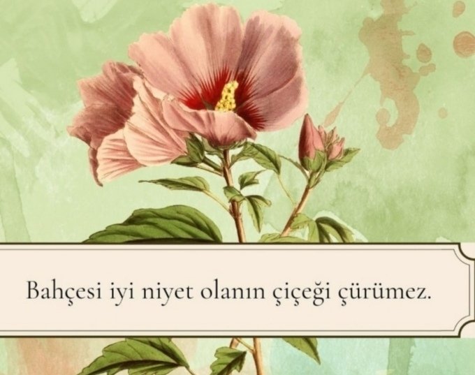 Fatma Toprak tweet media