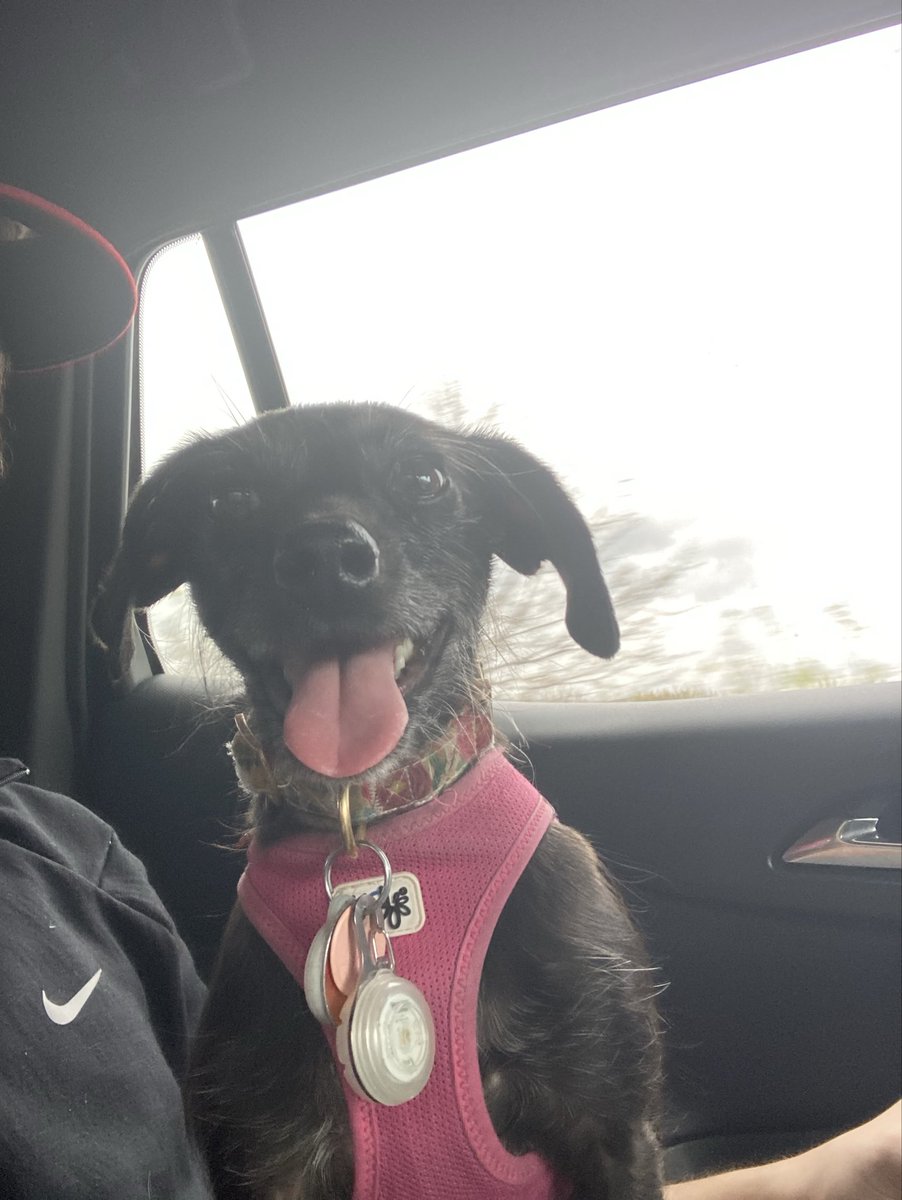 We love spontaneous car rides!