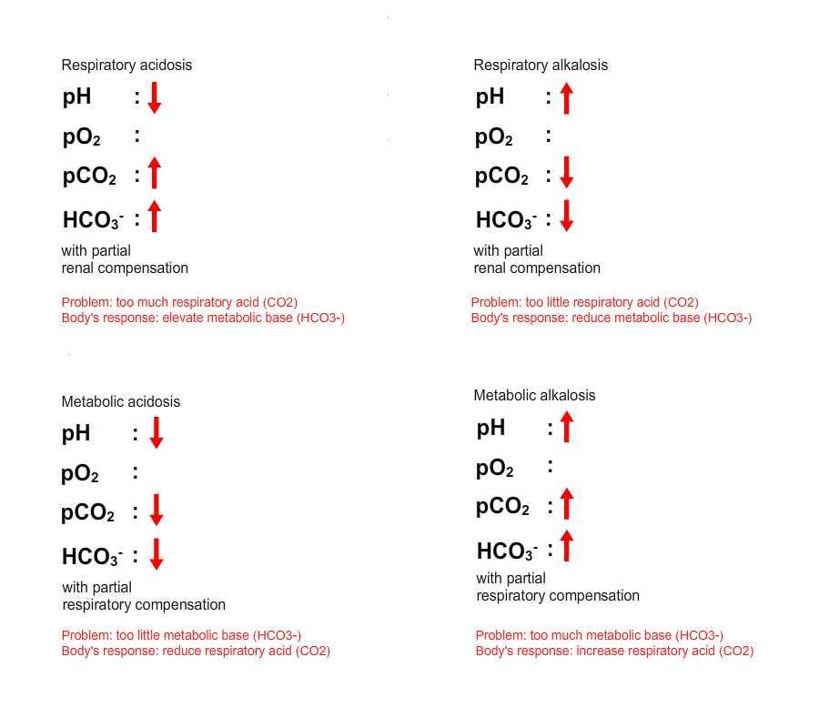 ECGTeacher's tweet image. 10 Things You Need to Know about Arterial Blood Gas (ABG)
buff.ly/X21X5uf
#emergencymedicine #intensivecare #respiratory #respiratorycare #icu #nurses #icunurse #ecg #ekg #cme #cmeonline
