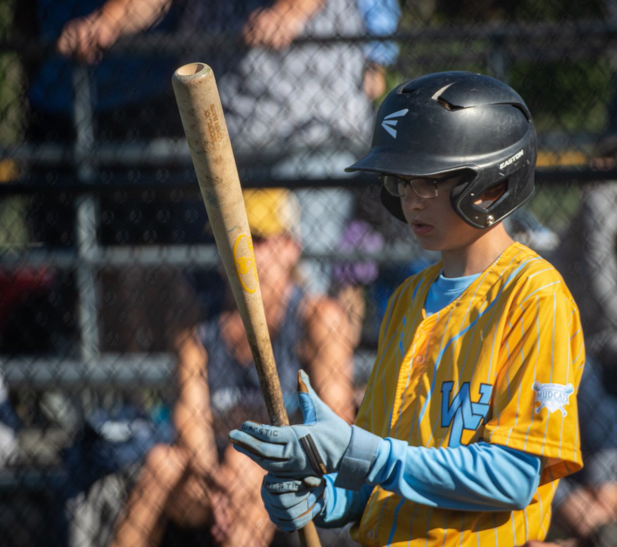 Viper Bats tweet media