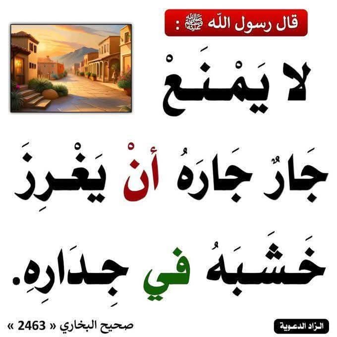 طويلب علم tweet media