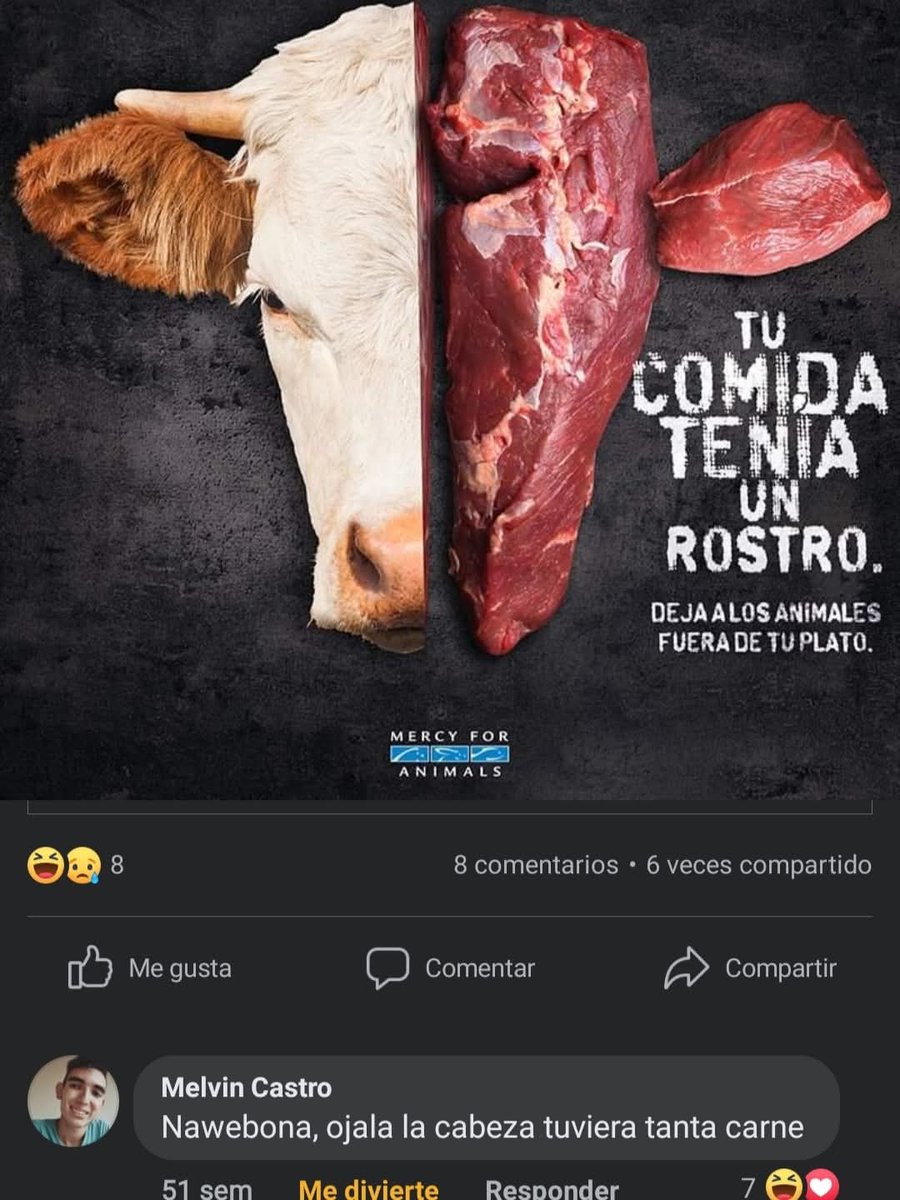 Shitpost Aleatorio tweet media
