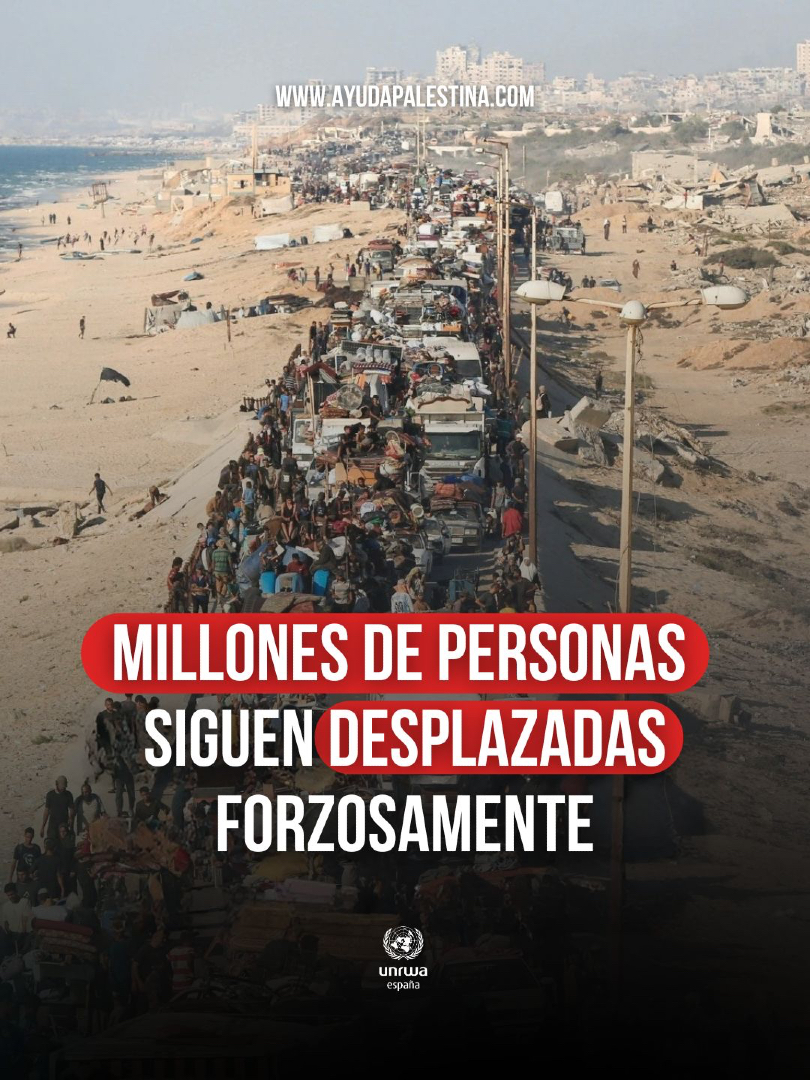 UNRWAes's tweet image. En #Gaza, casi dos tercios de la población vive en refugios; en #Cisjordania, el desplazamiento es el mayor desde 1967; y en #Líbano, más de un millón de personas han huido en semanas. No les dejemos de lado. ayudapalestina.es