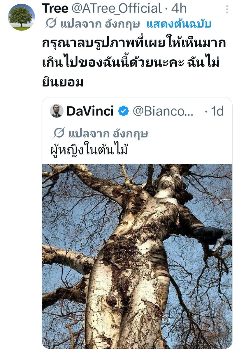 ชลน แมวส้มแท้ๆ 🐱 tweet media