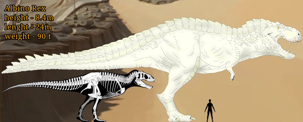 Jurassic Comp tweet media