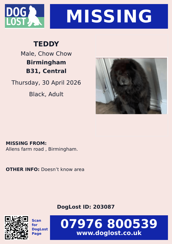 millypod1's tweet image. 🆘30 APR 2026 #Lost Teddy #ScanMe
Black Chow Chow Male
Doesn’t know area😢  PLEASE SHARE
Allens Farm Road #Birmingham #B31
doglost.co.uk/dog/203087