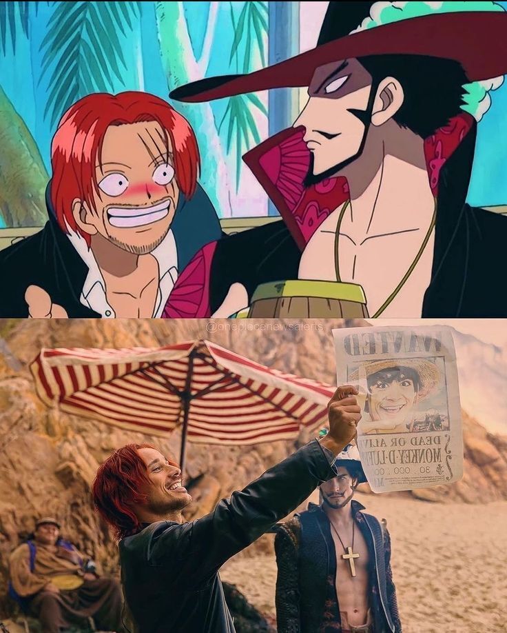 One Piece Daily tweet media