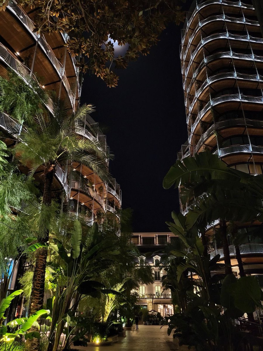 LaDolceRiviera's tweet photo. Monaco by night 

You just have to be there https://t.co/jHJoMgMq5a