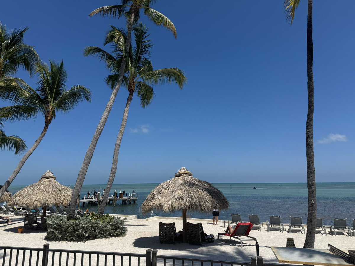Prop Bomb 🏝️ tweet media