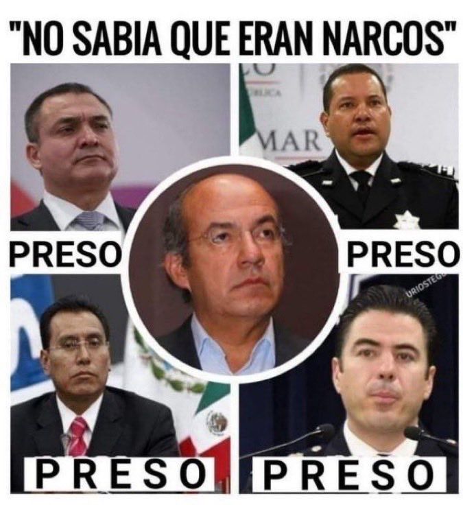 FlorecitaPrimavera🌸 tweet media