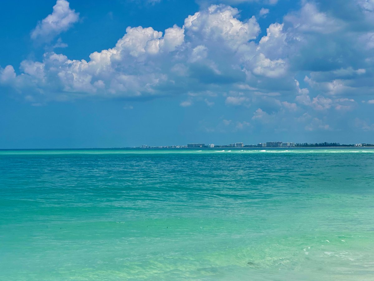 DeepGreens2's tweet image. #Beach #Photography #BeachLife #SiestaKey #Florida