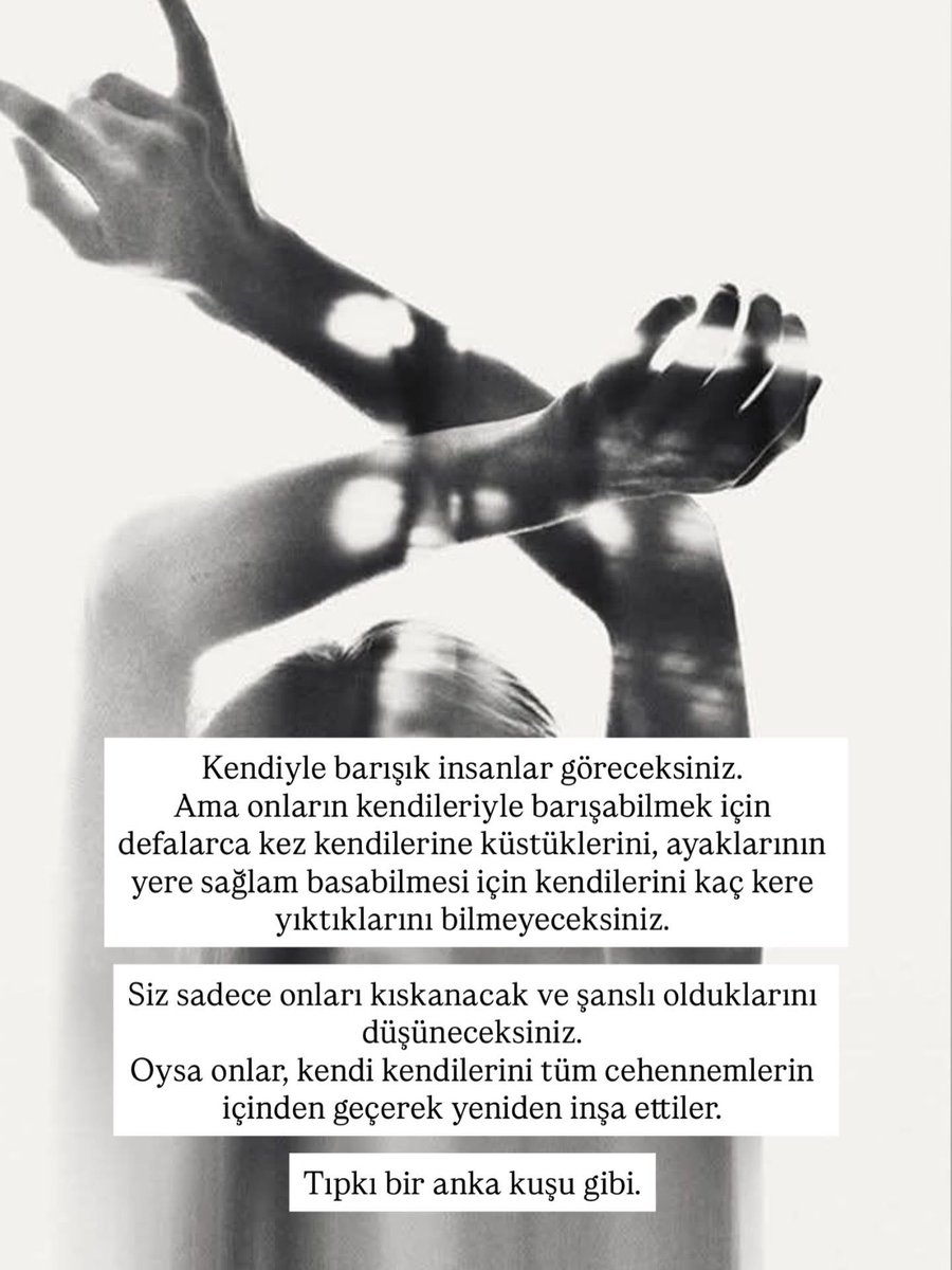 Sibel tweet media
