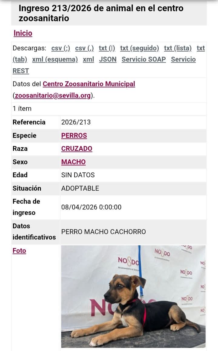 Necesita salir de allí con urgencia 🙏