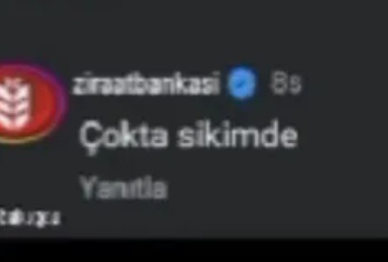 leas tweet media