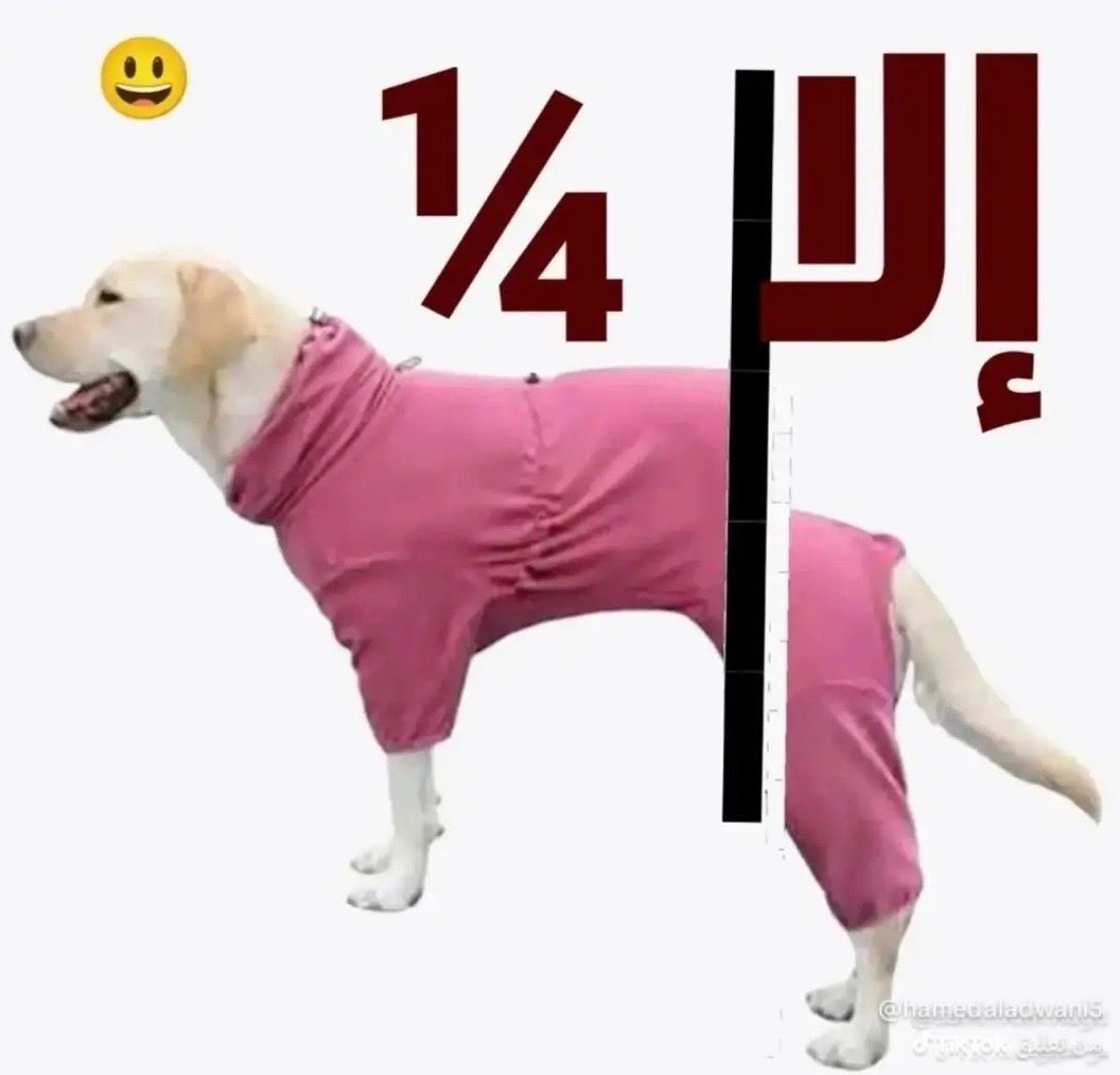 مخضرم tweet media