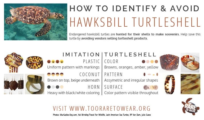 SEEturtles's tweet photo. Did you know you can report tortoiseshell when you see it?

Products made from hawksbill sea turtle are illegal in most countries. Don’t buy—report it instead. Share details, links, photos if possible.

Anonymous + helps stop the trade👇
 https://t.co/tqiX5gQYKg https://t.co/ASxuAsH8KE